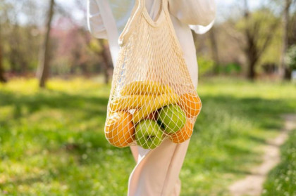 Mesh Bags